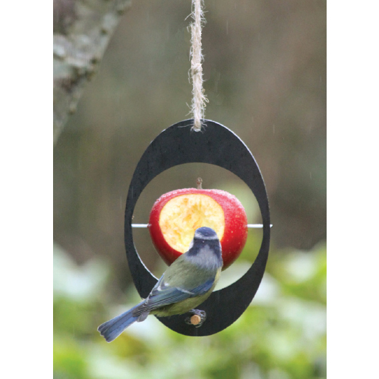 Eco Bird Feeder