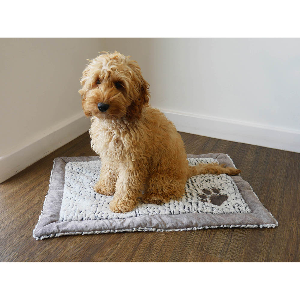 Luxury Fleece Lined Plush Blanket
