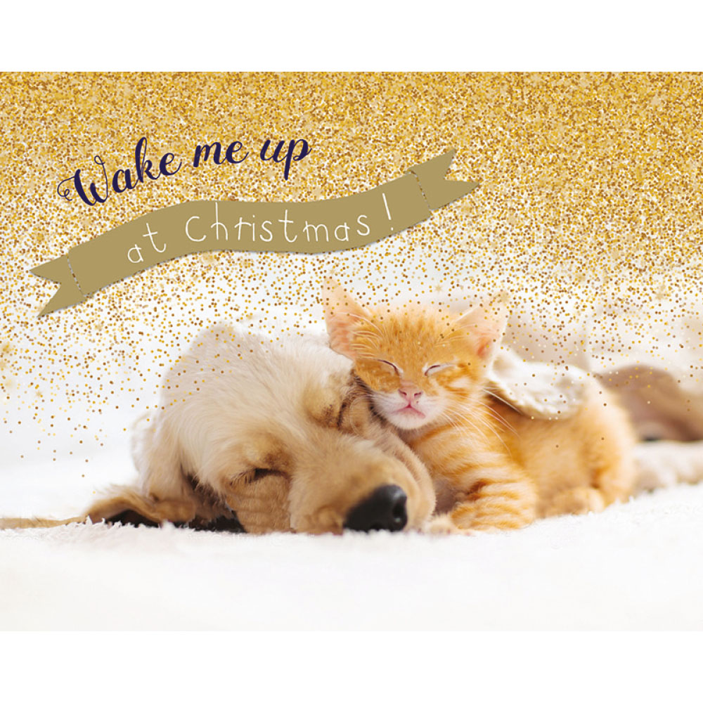 Wake Me Up at Christmas Cards