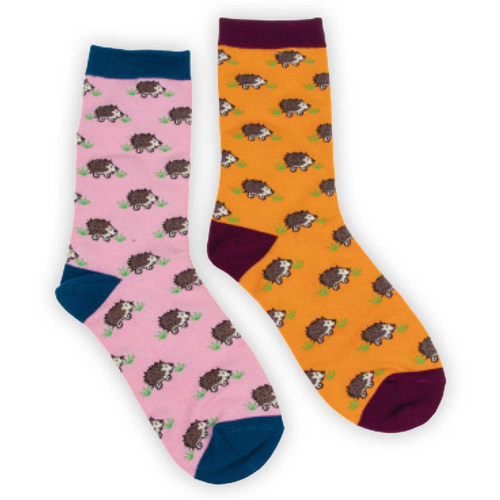 Hedgehogs Socks Gift Box