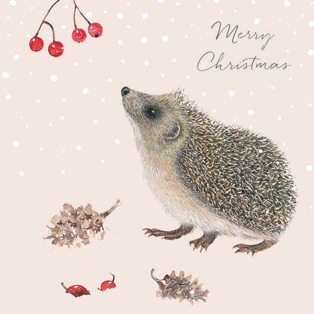 Winter Hedgehog and Berries