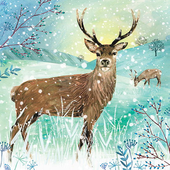 Stag in Winter cards