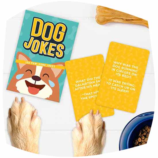 Dog Jokes Cards