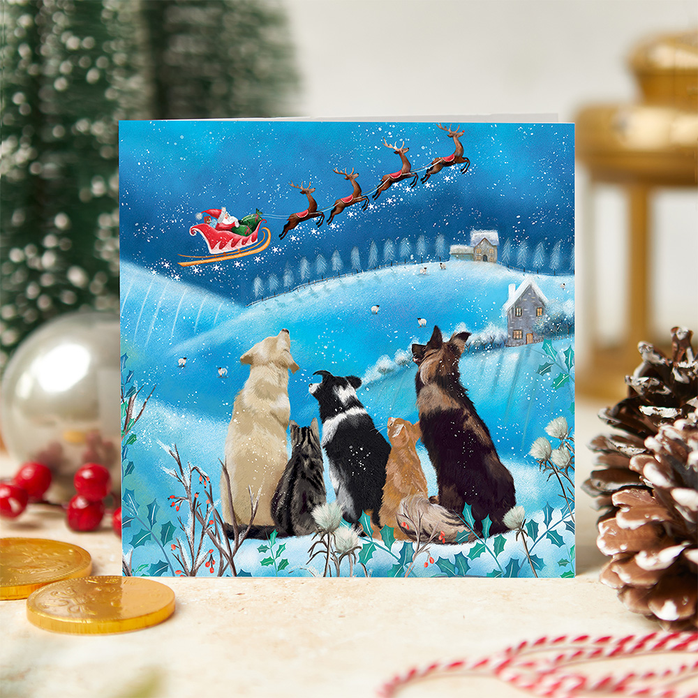 It's Christmas Time! cards