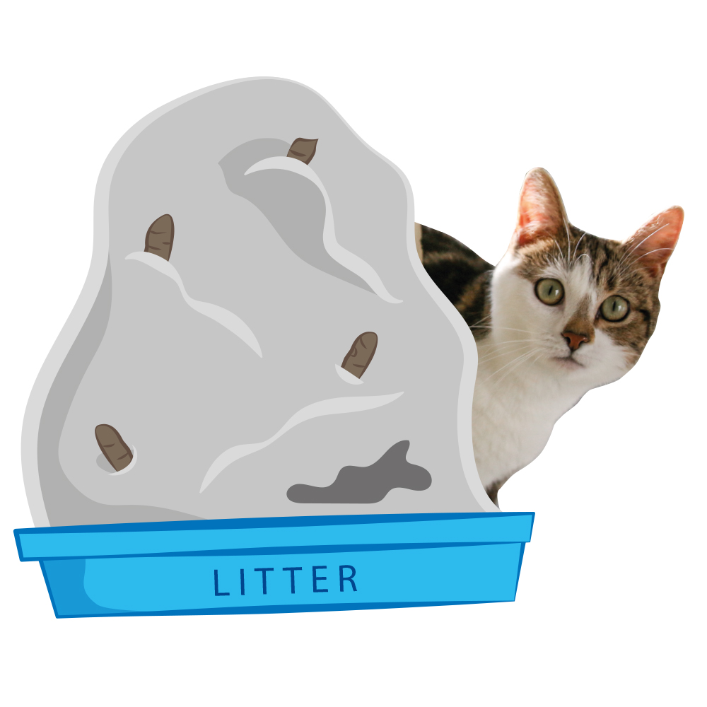 Warm Hearted Gift - Kitty Litter
